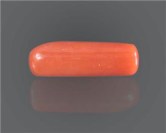 Natural Coral  7.25RTS-27548